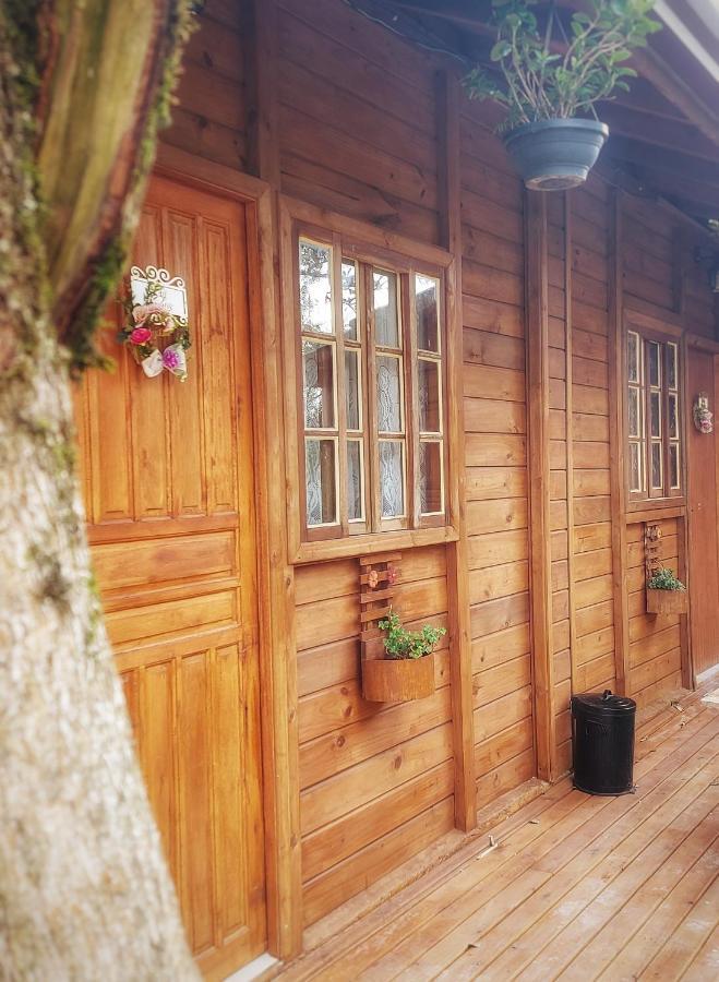 Chales Alpes Do Vale- グラマド エクステリア 写真